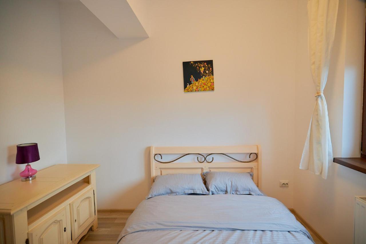 Cozy 3 Bedroom Apartments In Centre Of Iasi Palas Mall 外观 照片