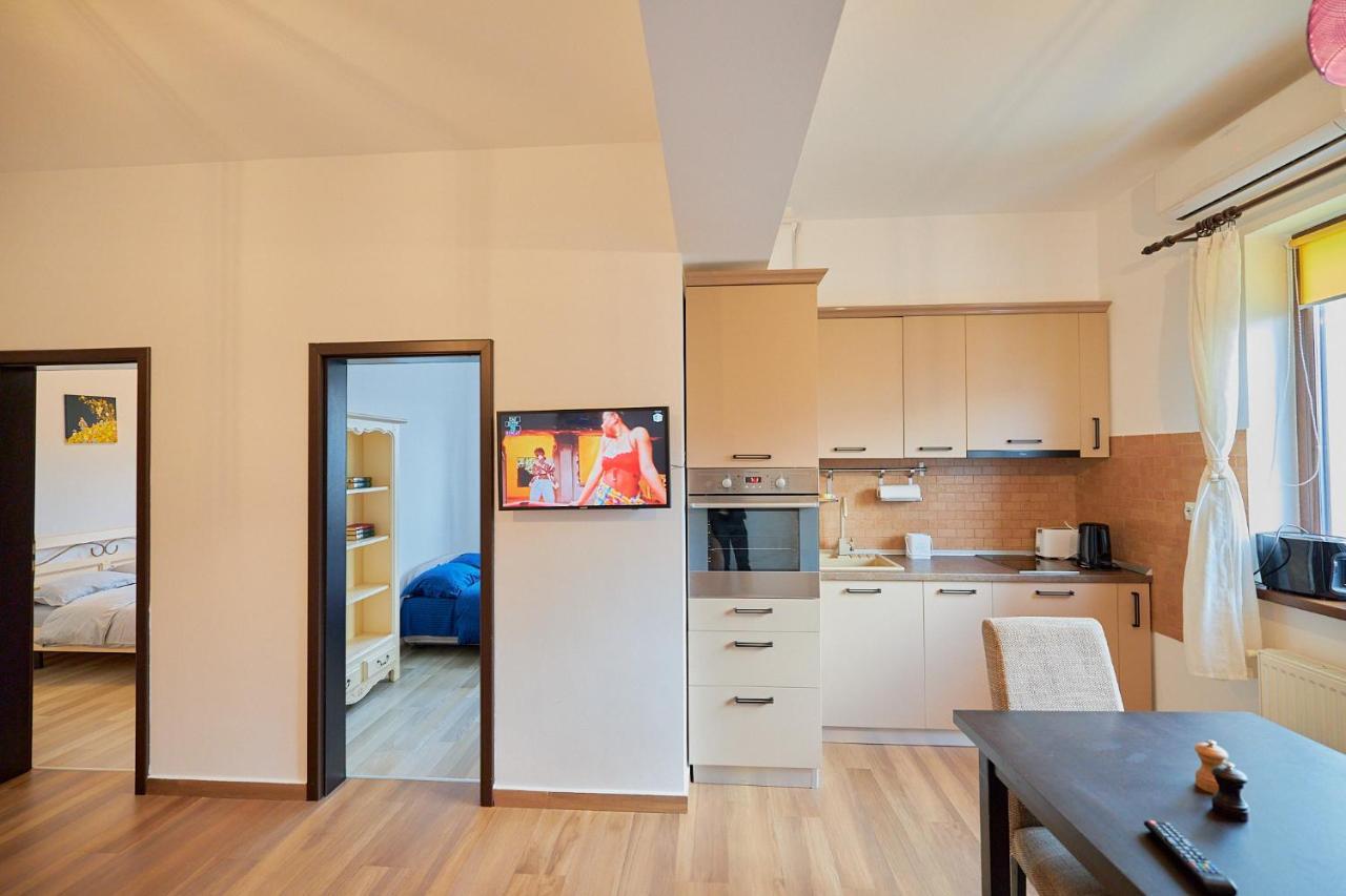 Cozy 3 Bedroom Apartments In Centre Of Iasi Palas Mall 外观 照片