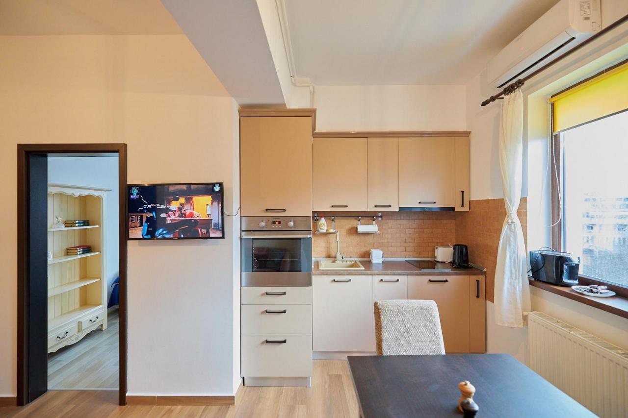 Cozy 3 Bedroom Apartments In Centre Of Iasi Palas Mall 外观 照片