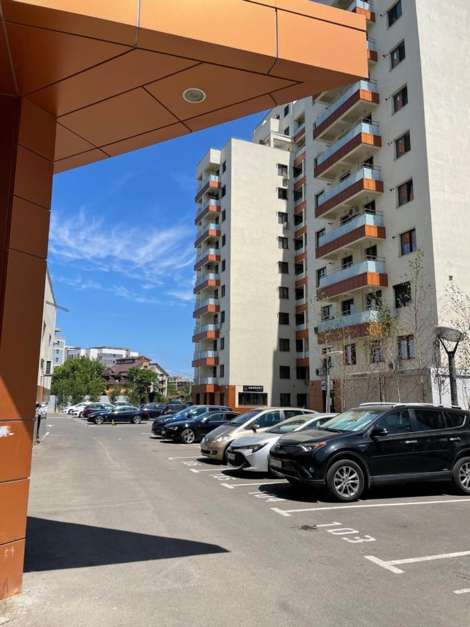 Cozy 3 Bedroom Apartments In Centre Of Iasi Palas Mall 外观 照片
